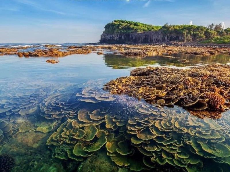 Gành Yến Quảng Ngãi